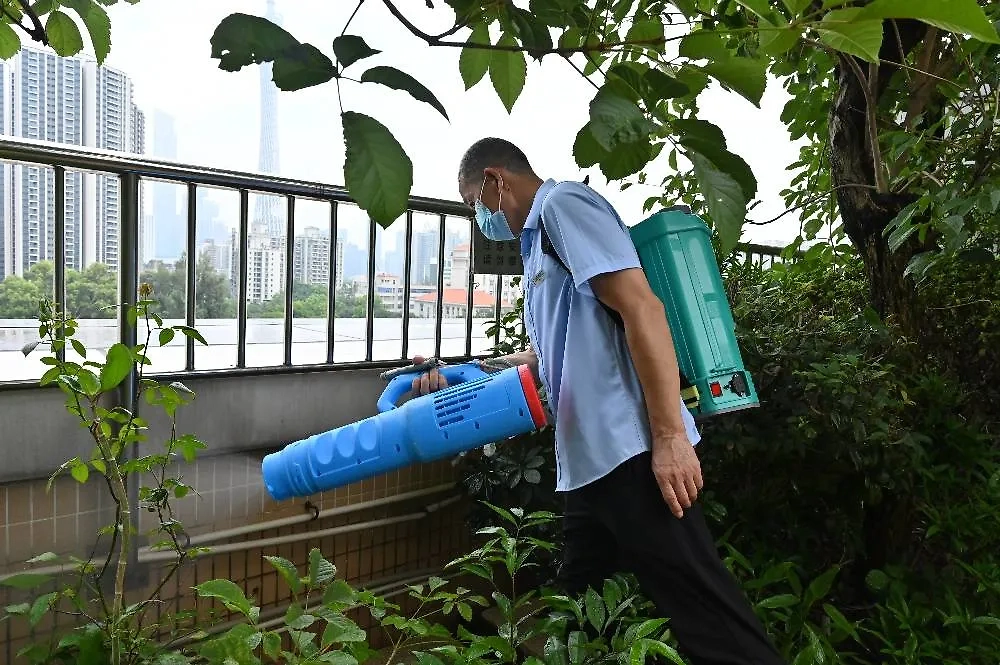 Чикунгунья в России: может ли вирус добраться до нас. Фото © ТАСС / China News Service