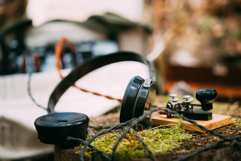 Обложка © Shutterstock / FOTODOM / George Trumpeter