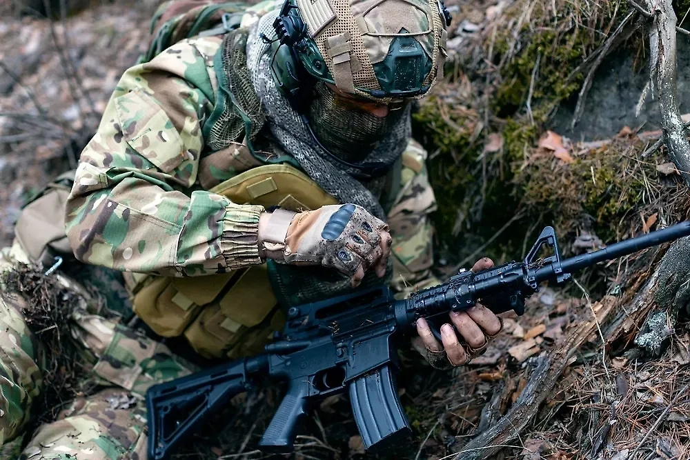 Обложка © Shutterstock / FOTODOM / Green Elk