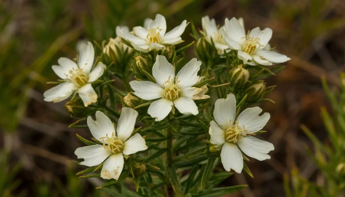 Могильник. Обложка © Life.ru/shedevrum.ai