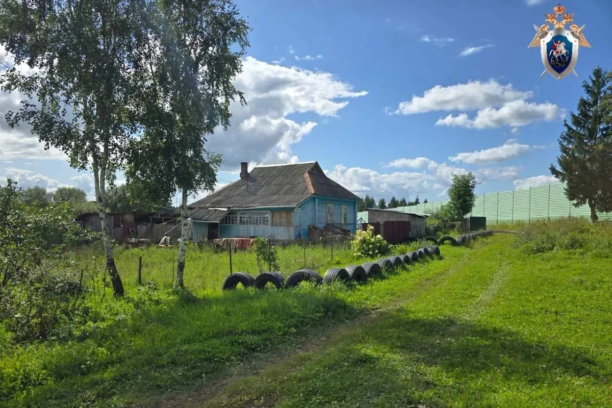 В Смоленской области мужчина избил беременную деревянным предметом. Обложка © Telegram / СУ СК России по Смоленской области 