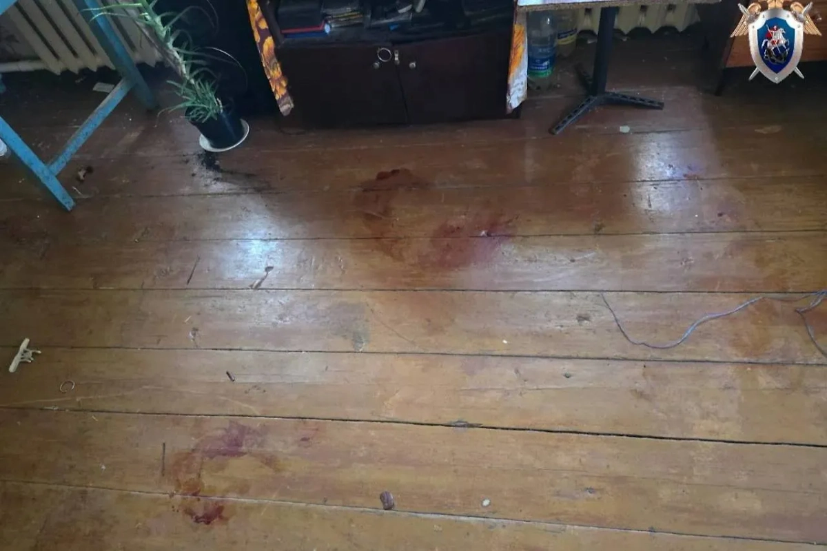 В Смоленской области мужчина избил беременную деревянным предметом. Фото © Telegram / СУ СК России по Смоленской области 