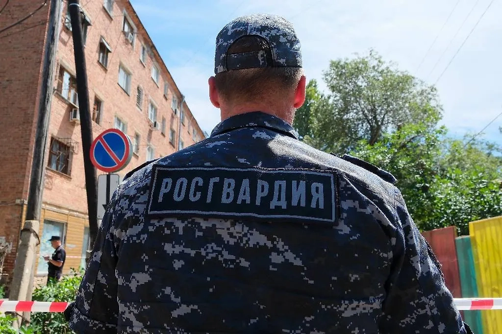 Обложка © ТАСС / Дмитрий Дадонкин