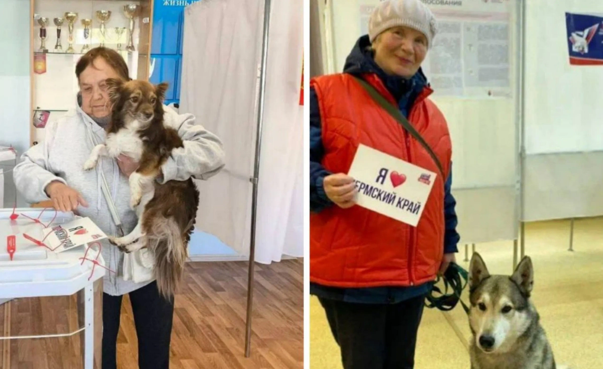 Выборы в Пермском крае. Фото © Telegram / Избирком_Пермский край