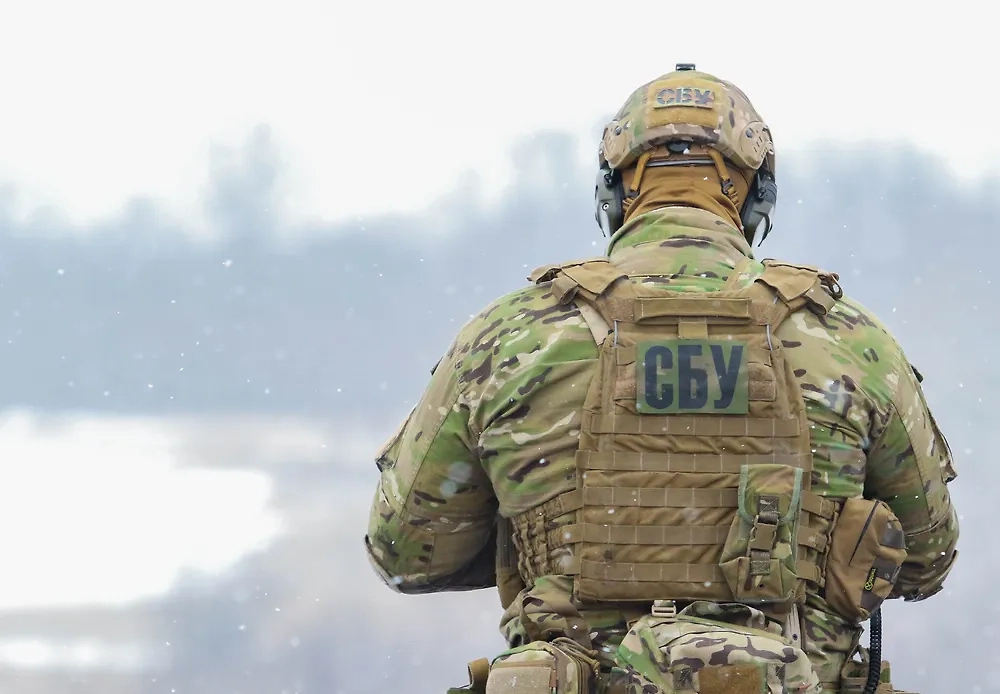 Обложка © Shutterstock / FOTODOM / Oleh Dubyna