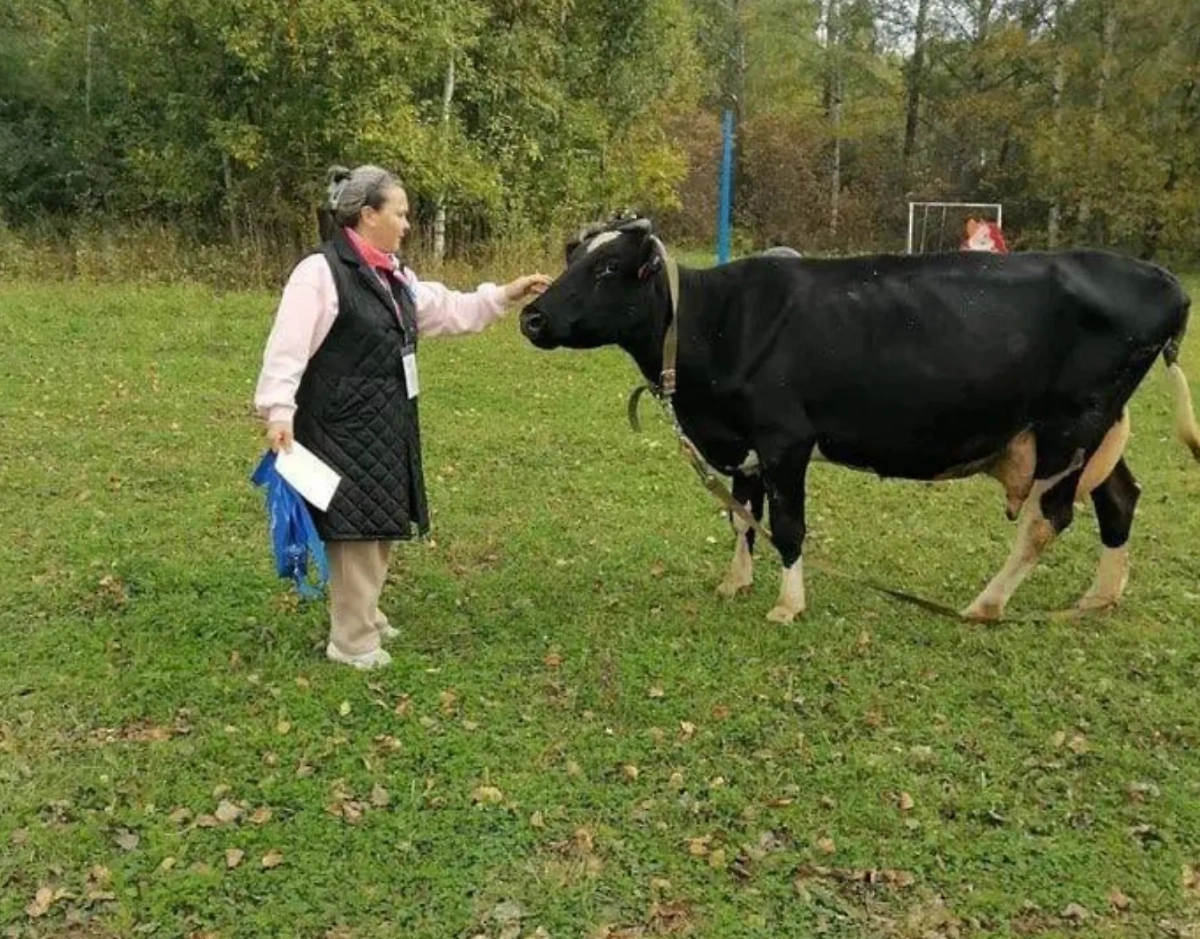 Выборы в Пермском крае. Фото © Telegram / Избирком_Пермский край