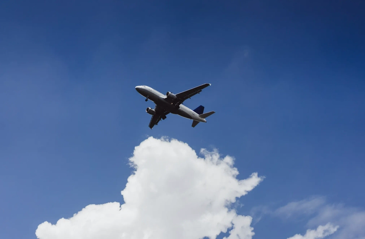 Обложка © freepik / Kireyonok_Yuliya