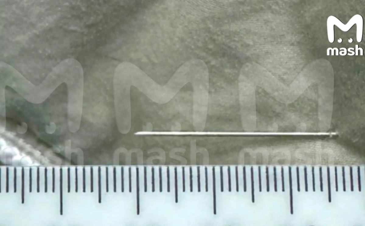 Подушка Togas, где оказалась игла. Фото © Telegram / Mash