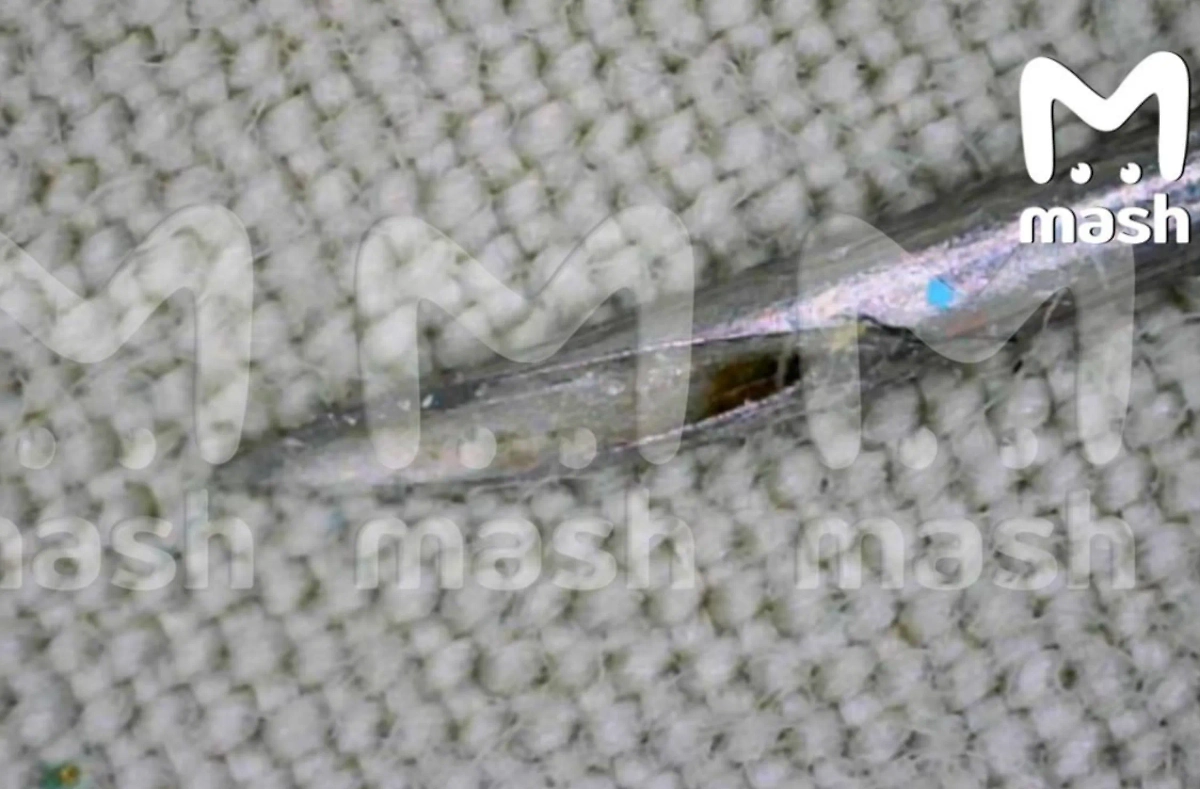 Подушка c иглой. Фото © Telegram / Mash