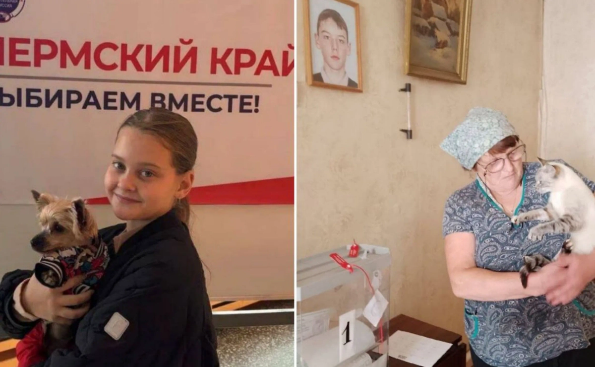 Выборы в Пермском крае. Фото © Telegram / Избирком_Пермский край