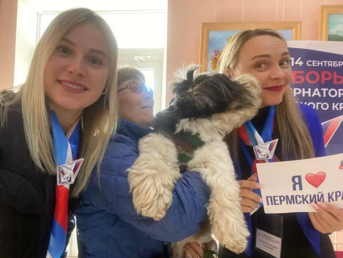 Выборы в Пермском крае. Фото © Telegram / Избирком_Пермский край