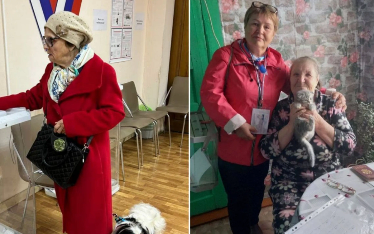 Выборы в Пермском крае. Фото © Telegram / Избирком_Пермский край