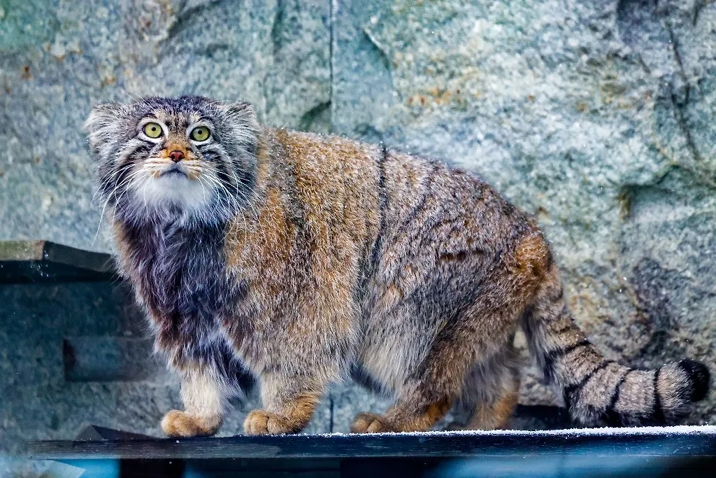 Обложка © ТАСС / Владимир Гердо