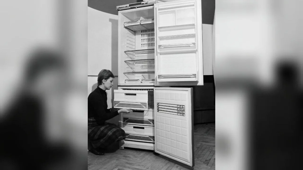 Как почистить холодильник без химии? Рабочий метод из СССР. Фото © ТАСС / А. Поддубный