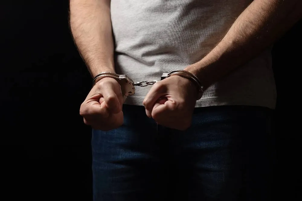 Обложка © Shutterstock / FOTODOM / Skrypnykov Dmytro