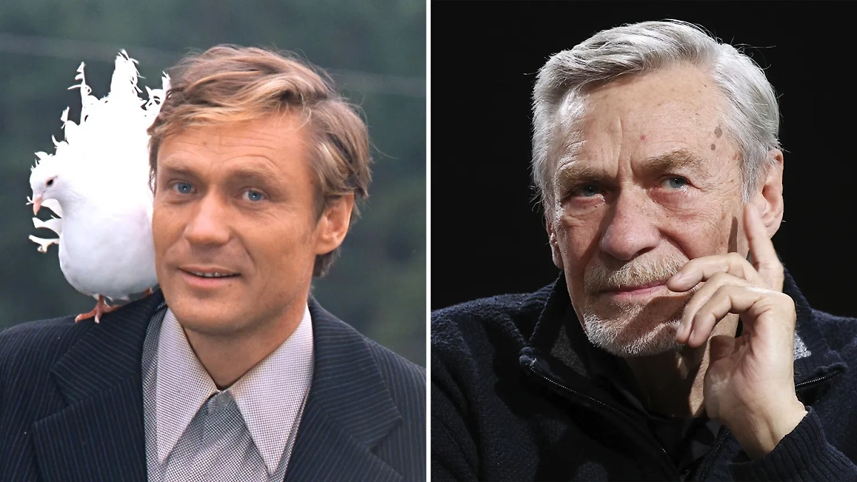 Александр Михайлов сыграл 85 ролей в кино и 50 — в театре. Фото © «Любовь и голуби», режиссёр Владимир Меньшов, сценарист Владимир Гуркин / kinopoisk, © ТАСС / Валерий Шарифулин