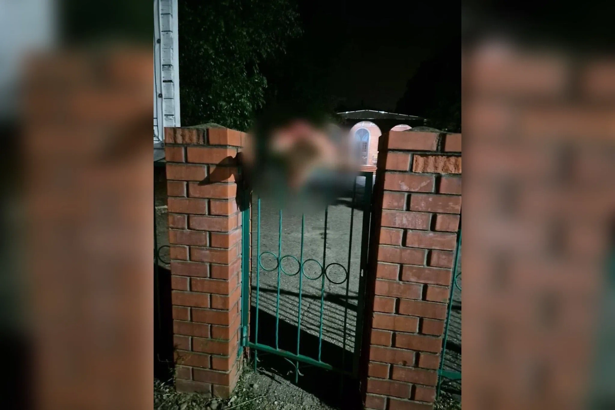 В Адыгее неизвестные подкинули свиную голову к мечети. Обложка © Telegram / Фото и видео с ЧП/ДТП/Очевидцы