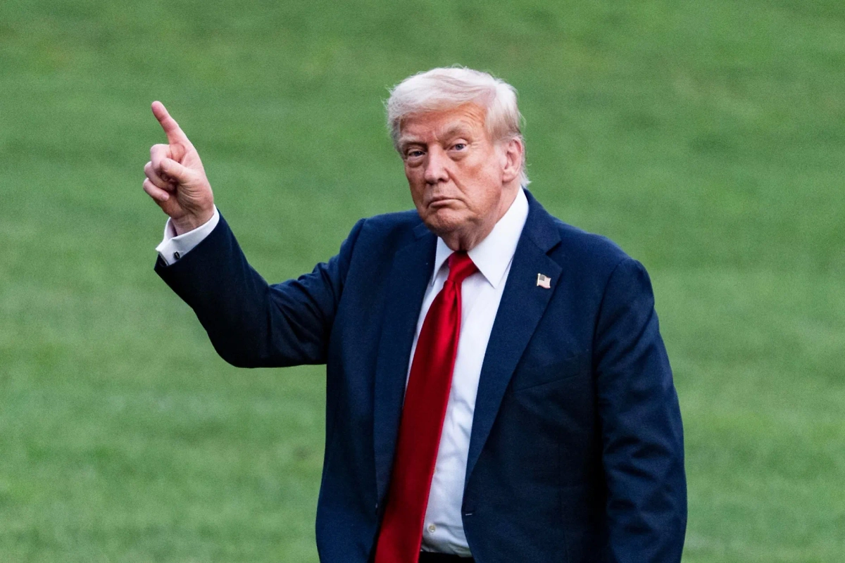 Обложка © Shutterstock / FOTODOM / DT phots1