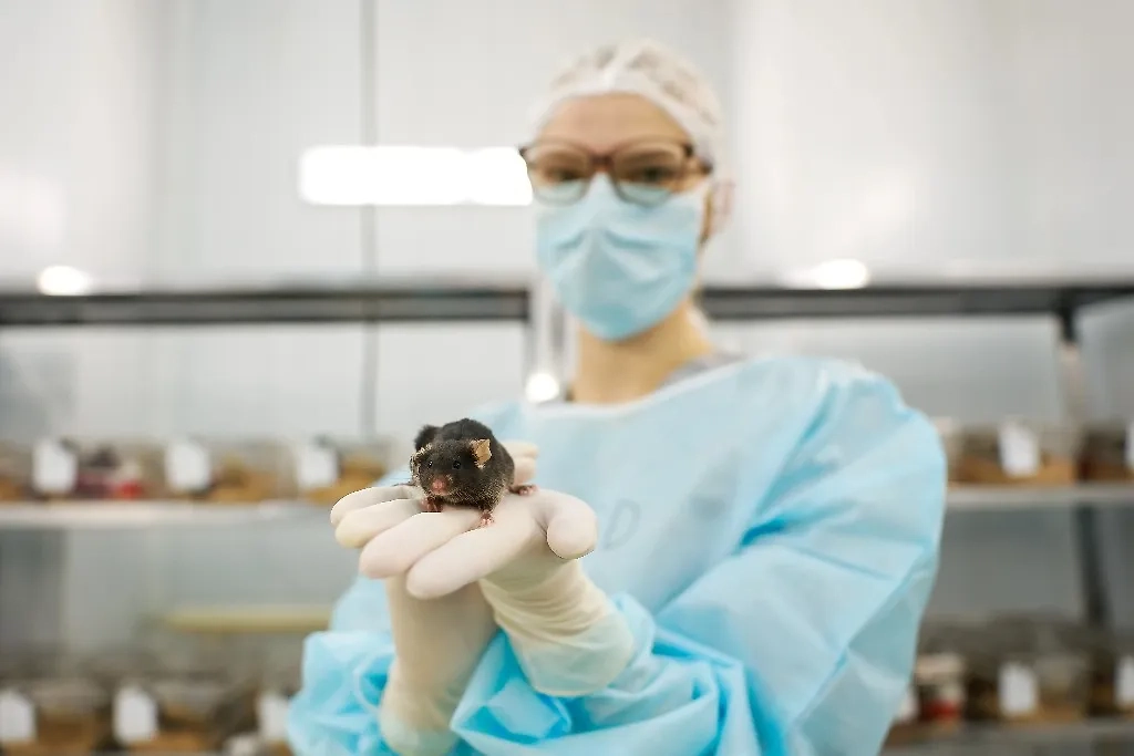 Обложка © ТАСС / Роскосмос Медиа