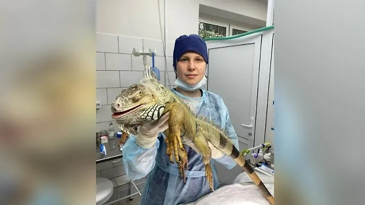 Обложка © ГБУ «Мосветобъединение»