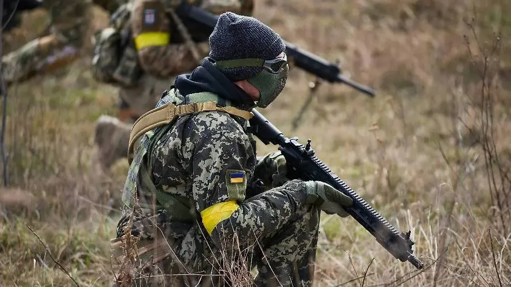 Обложка © Shutterstock / FOTODOM / hurricanehank