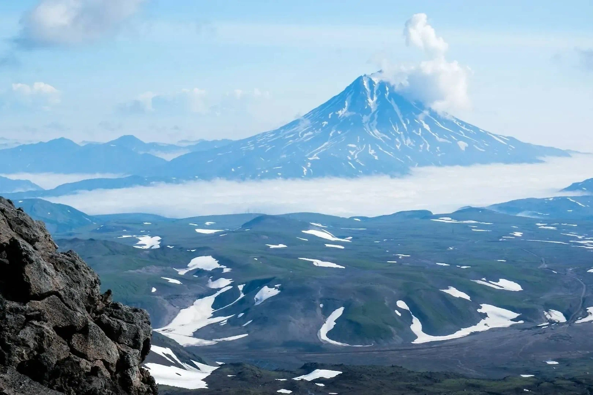 Обложка © Unsplash / Mariya Tereshkova