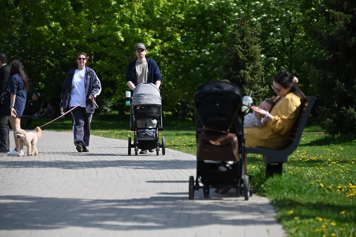 Обложка © Life.ru