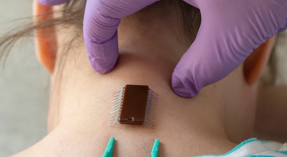 Обложка © Shutterstock / FOTODOM / ToKa74