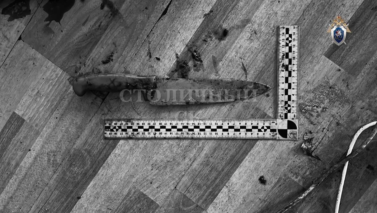 Обложка © Telegram / Столичный СК