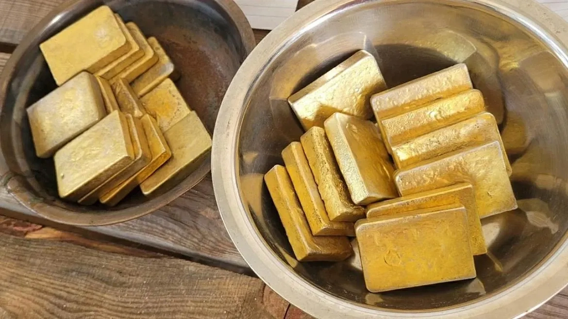 Изъято около 17 кг драгоценного металла — золотые слитки и россыпь. Обложка © МВД Медиа