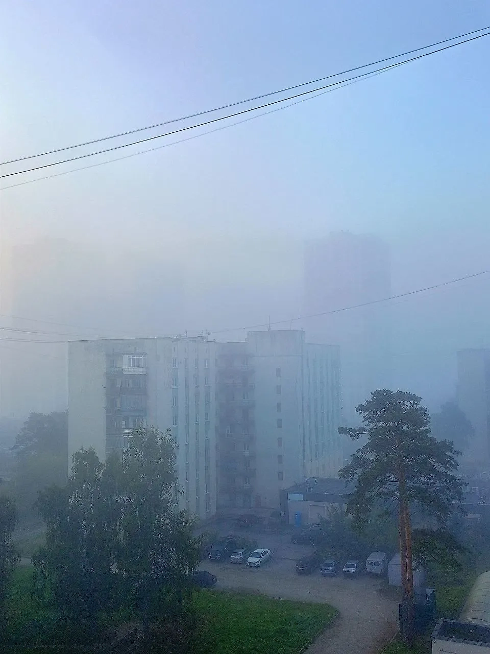 Туман в Екатеринбурге. Фото © Telegram / Екатеринбург Новости