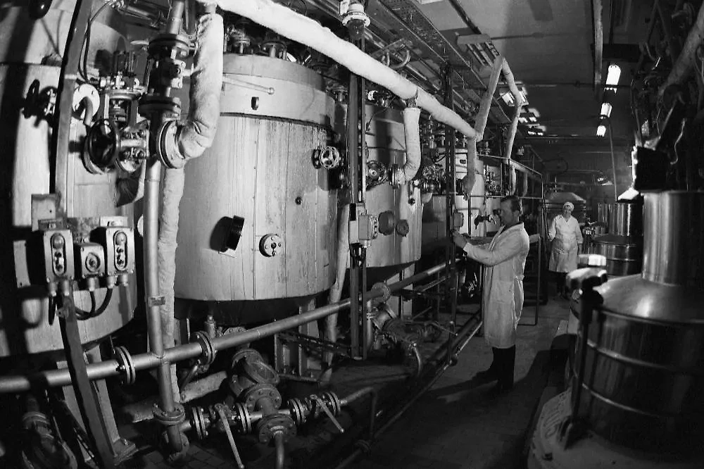 Почему в России бум БАДов? Неужели людям до сих пор не ясно, что БАД — это не лекарство? 1986 г. Работники цеха по изготовлению рыбьего жира. Фото © ТАСС / Козлов Сергей