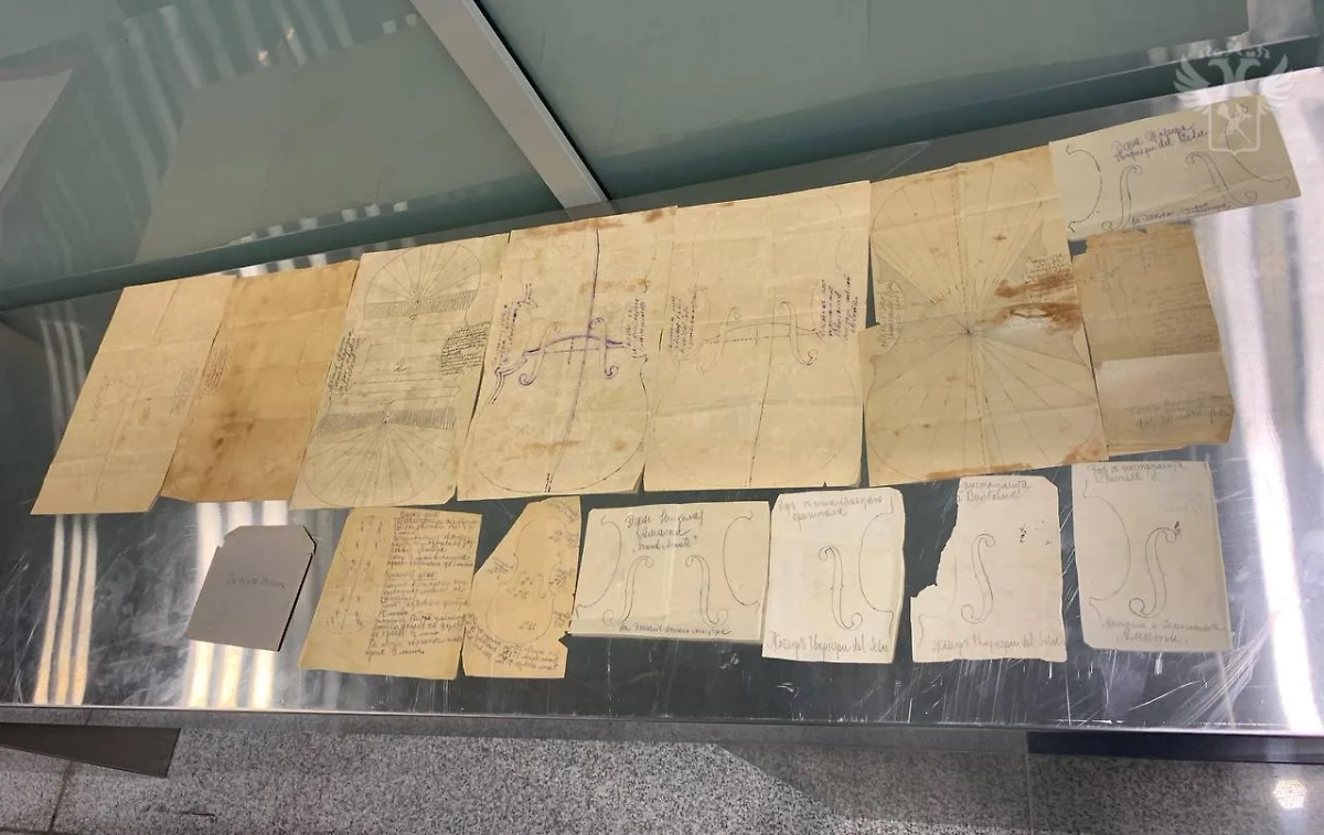 Обложка  © Telegram /  ФТС России