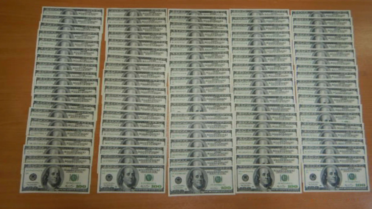 Иностранец пытался провезти через Толмачево $30 тысяч незадекларированными. Обложка © Сибирское таможенное управление