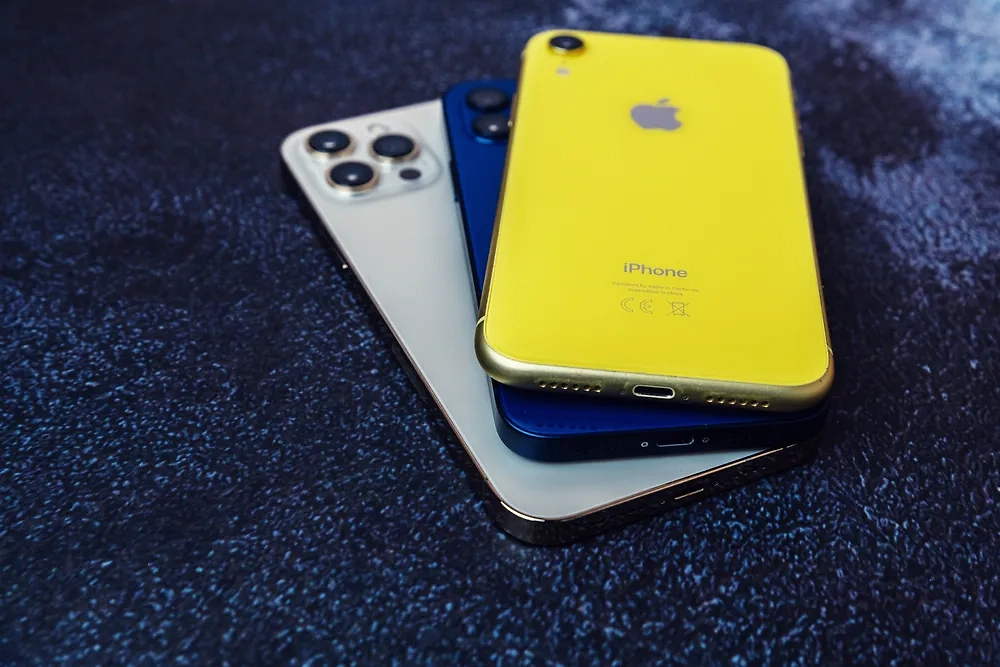 Обложка © Shutterstock / FOTODOM / KaterynaSypailova