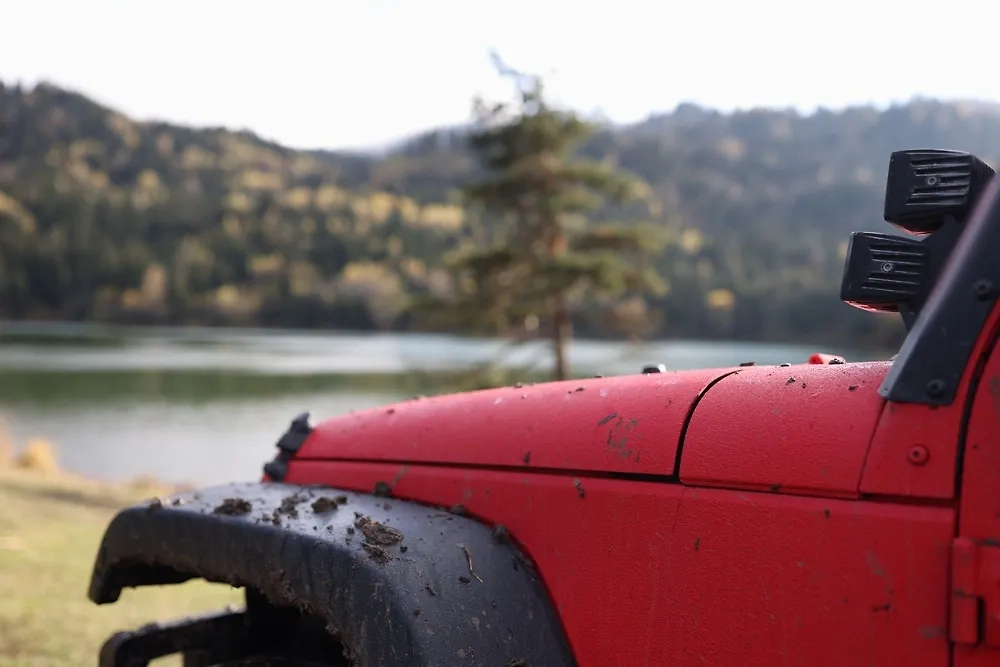 Обложка © Shutterstock / FOTODOM / megaflopp