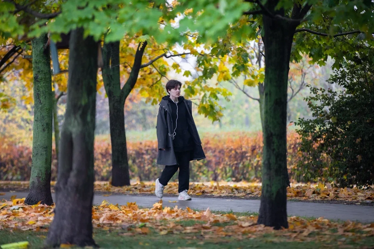 Обложка © Life.ru