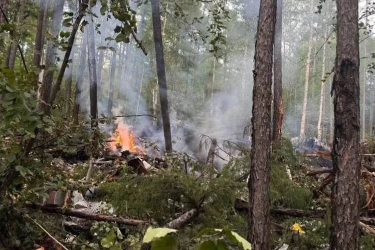 Место падения Ан-24. Обложка © Telegram / Дальневосточная транспортная прокуратура