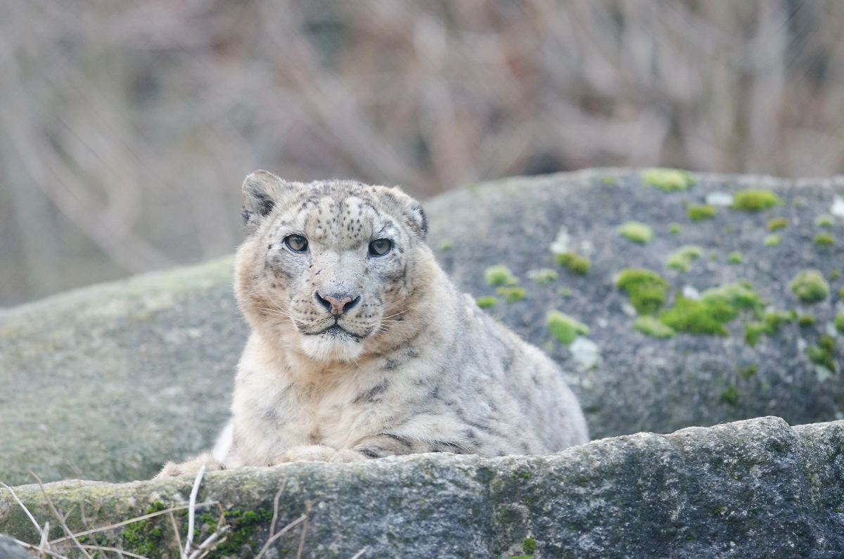 Обложка © Freepik / wirestock