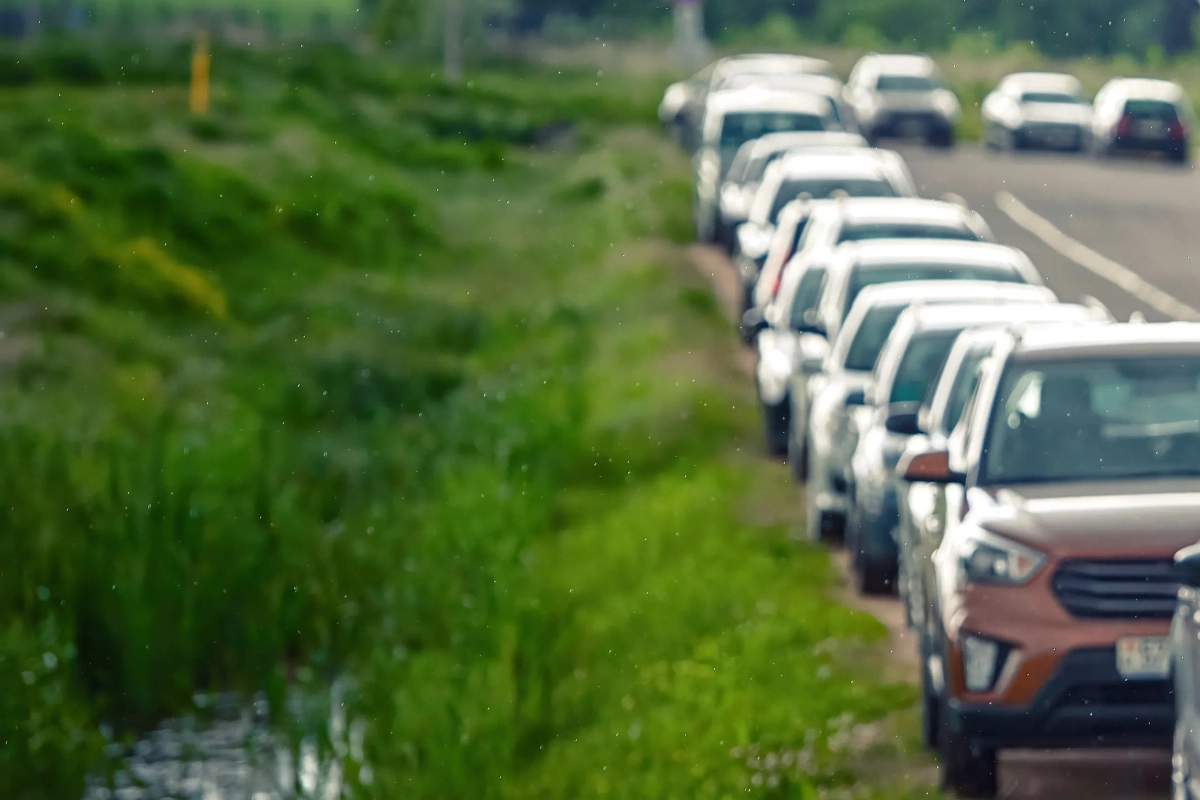 Обложка © Shutterstock / FOTODOM / Tricky_Shark