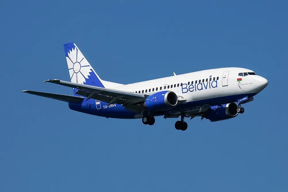 Обложка © Shutterstock / FOTODOM / Soos Jozsef