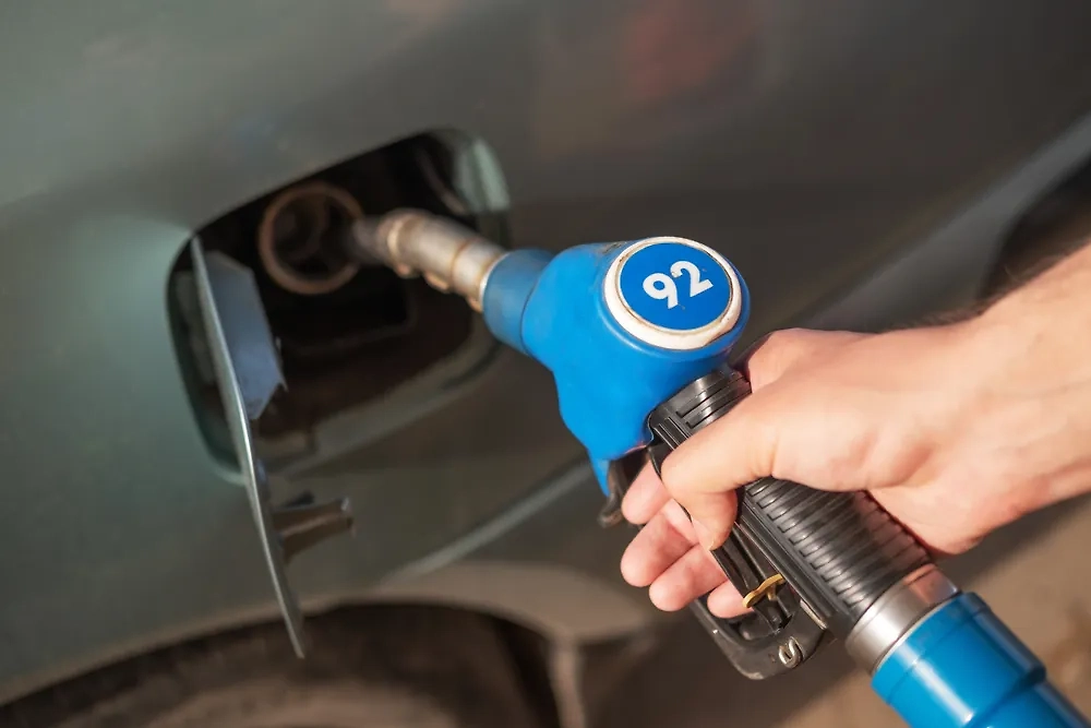 Обложка © Shutterstock / FOTODOM / ilyapfoto