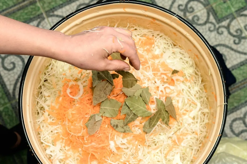 Капуста не любит металл — он даёт кислый вкус. Фото © Shutterstock / FOTODOM / Andrii Anna photographers