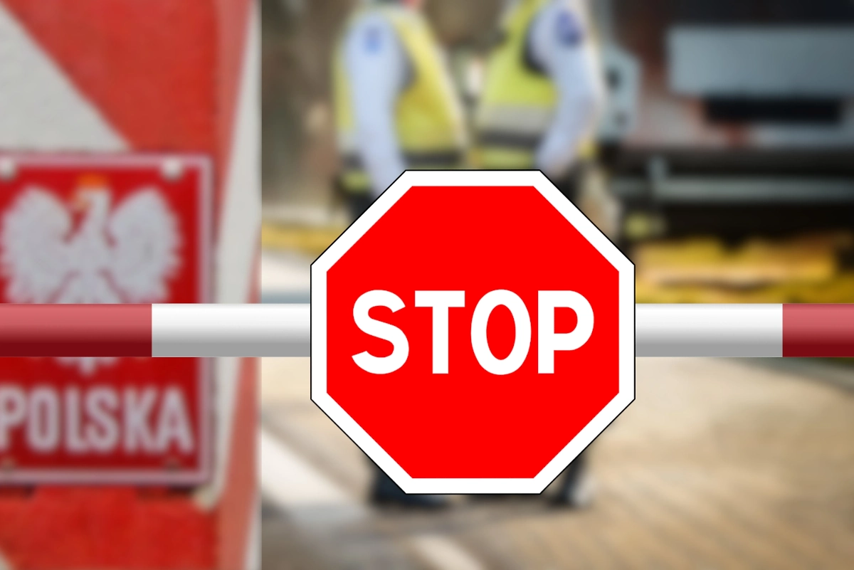 Обложка © Shutterstock / FOTODOM / Bartolomiej Pietrzyk