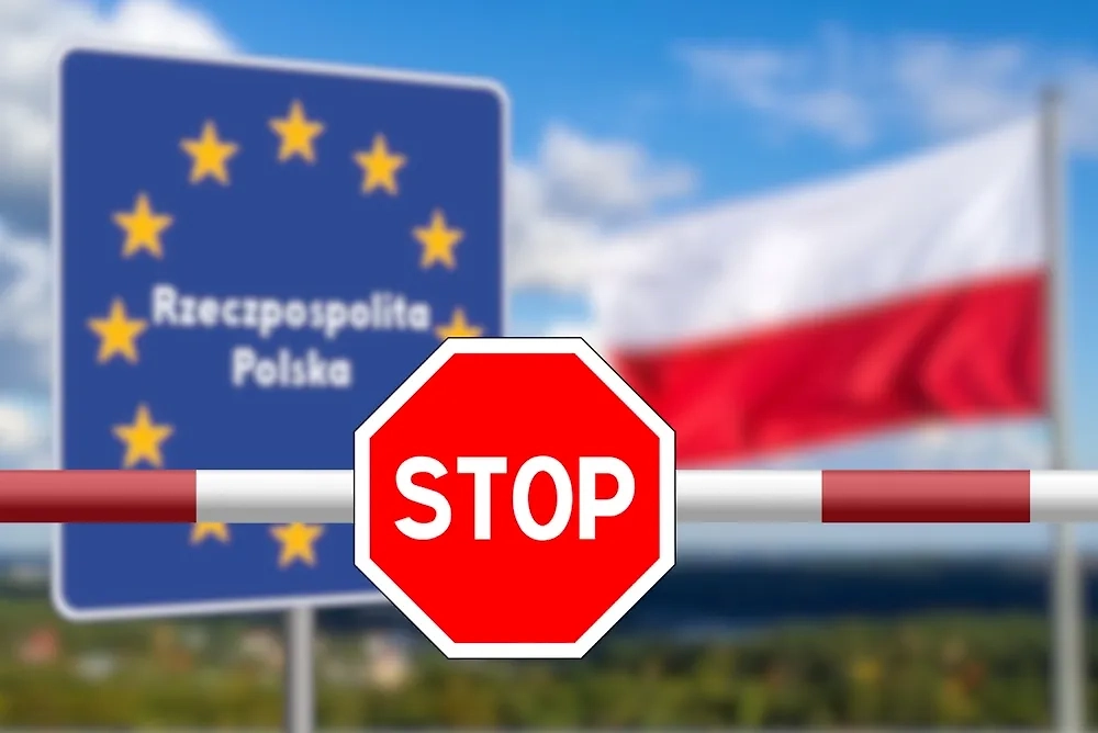 Обложка © Shutterstock / FOTODOM / Bartolomiej Pietrzyk