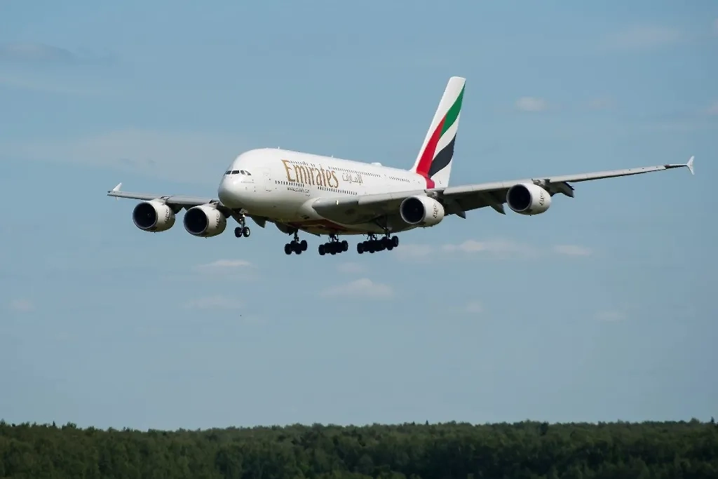 Обложка © ТАСС / Андрей Перечицкий