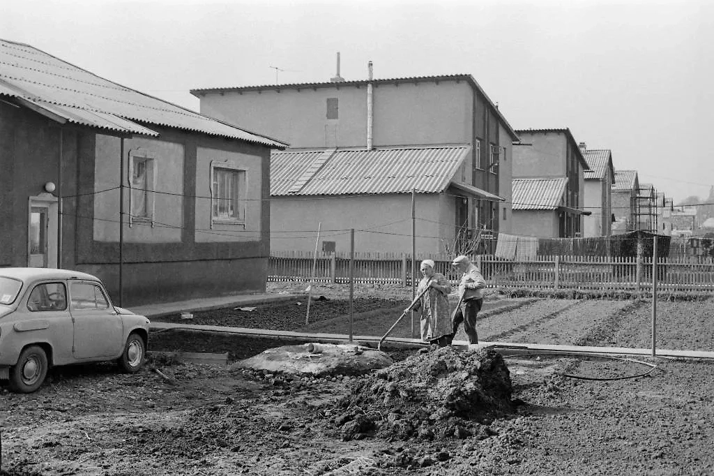 Утренняя зарядка и другие здоровые привычки из Советского Союза. Фото © ТАСС / Фотохроника ТАСС / Евгений Петрийчук