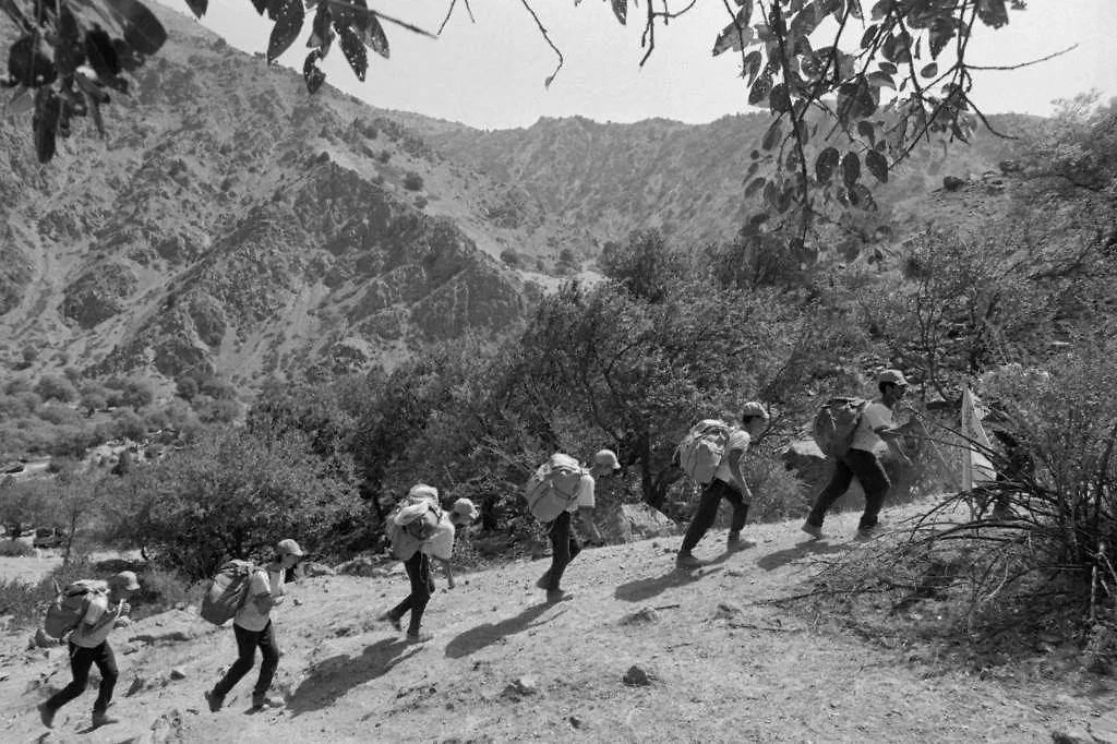 Как поддерживали форму в СССР без спортзалов и тренеров. Фото © ТАСС / Фотохроника ТАСС / В. Иващенко