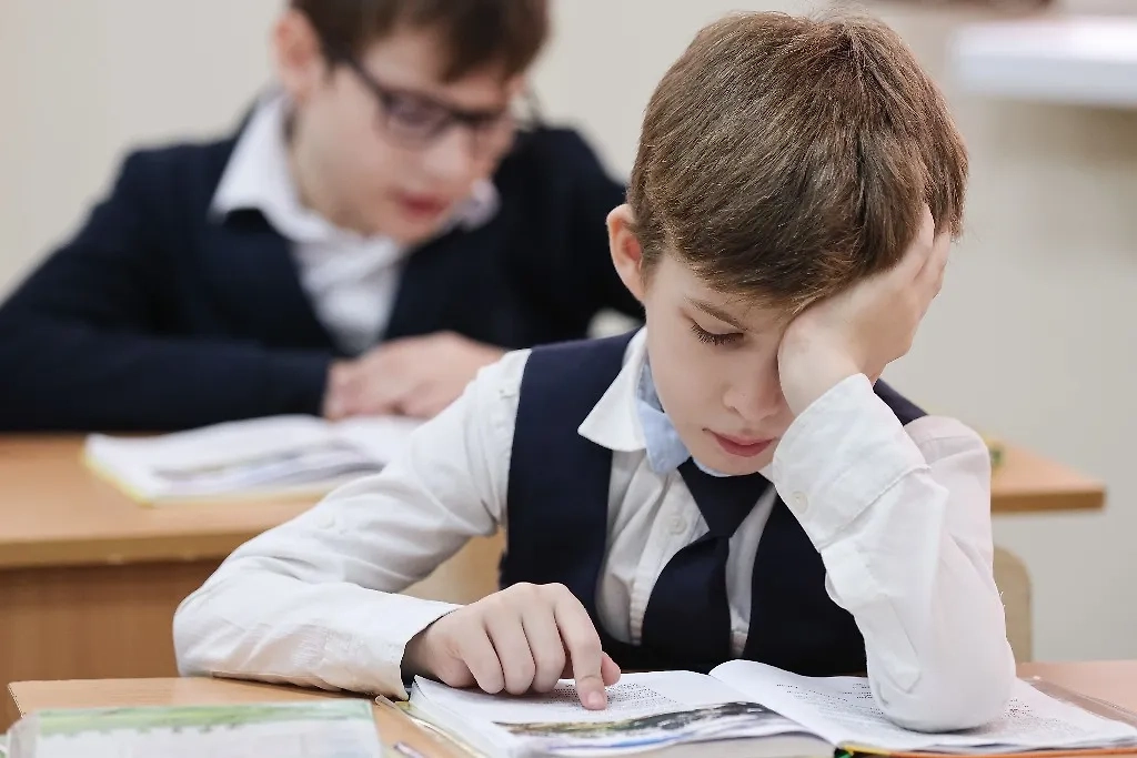 Обложка © ТАСС / Елена Афонина