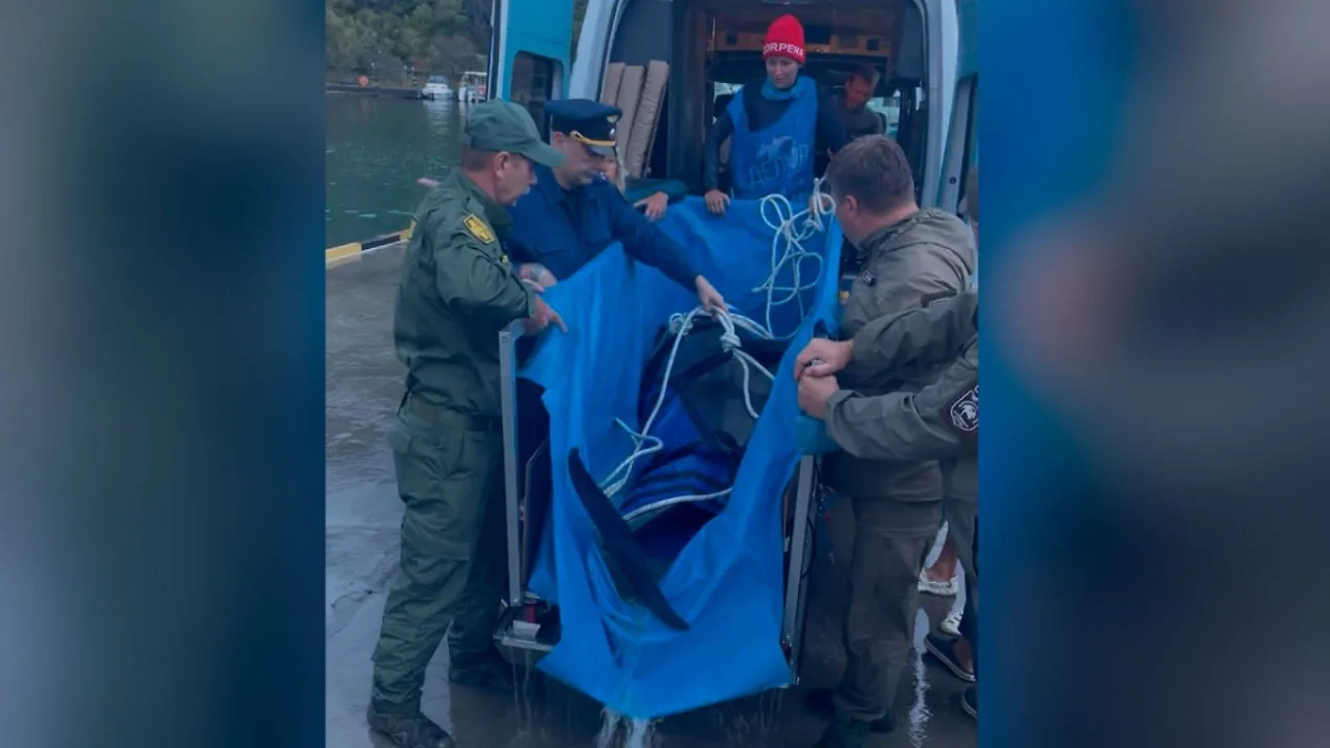 Обложка © Telegram / Прокуратура Краснодарского края